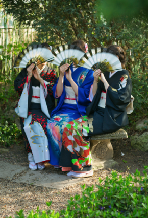 Momiji Fesztiváljegy - Japán nap